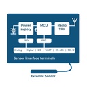 Decentlab DL-DLR2 Gerät für Analoge oder Digitale Sensordaten 